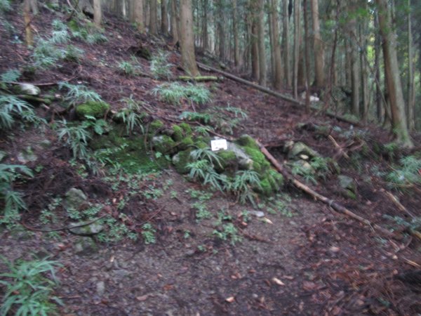 登山道
